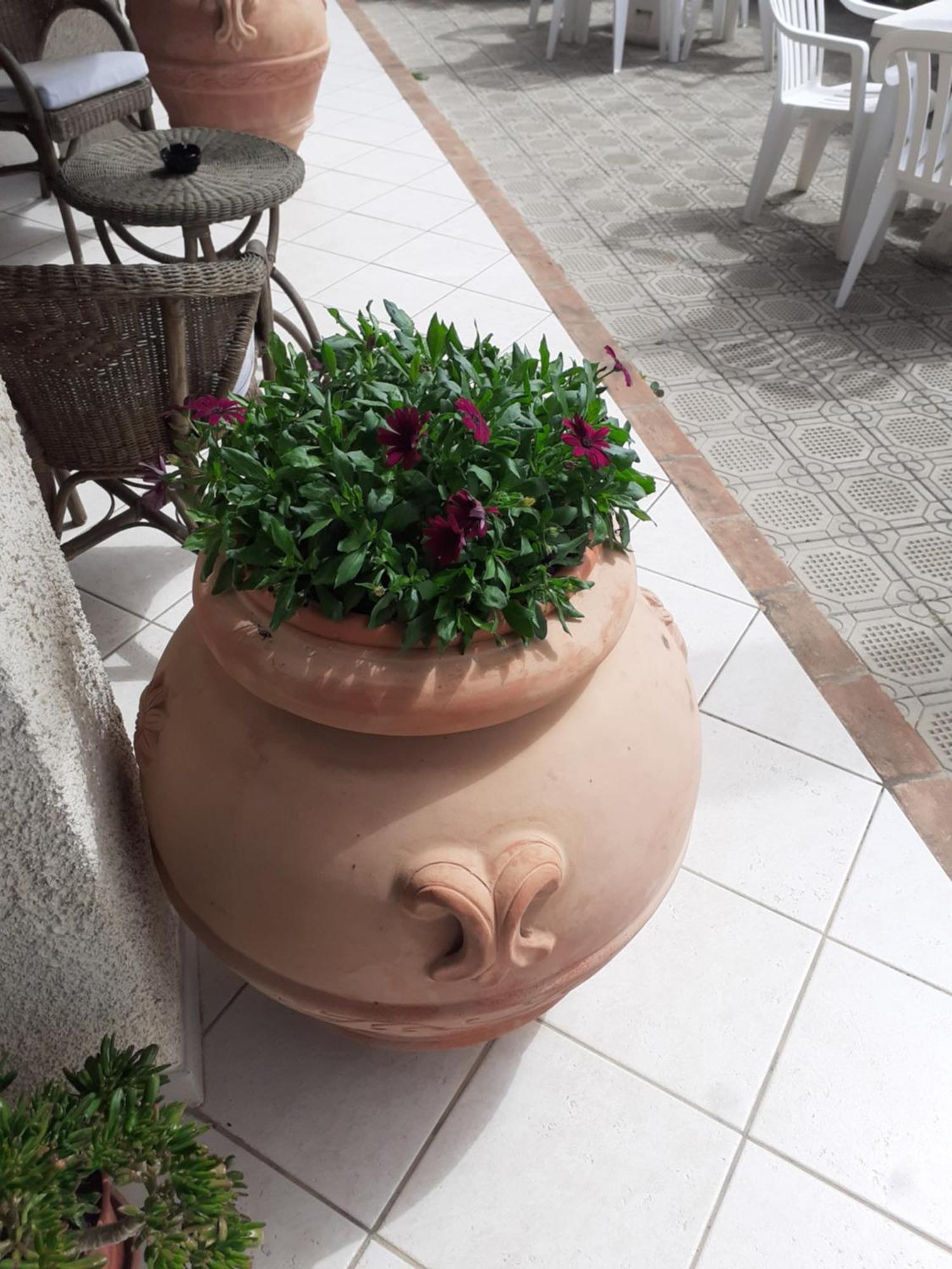 Hotel B&B Rispescia Grosseto Экстерьер фото