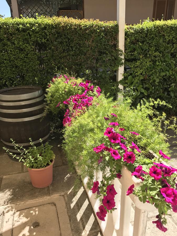 Hotel B&B Rispescia Grosseto Экстерьер фото