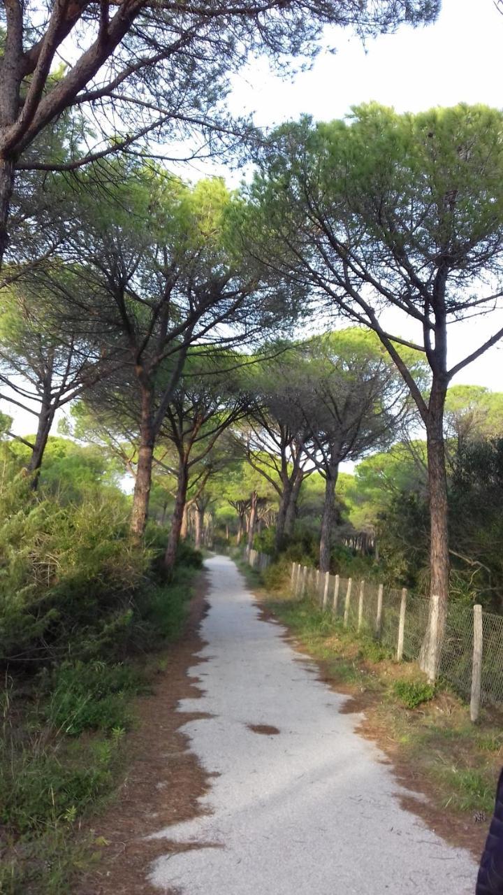 Hotel B&B Rispescia Grosseto Экстерьер фото